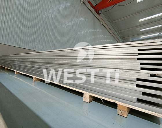 Titanium-lenient-plate