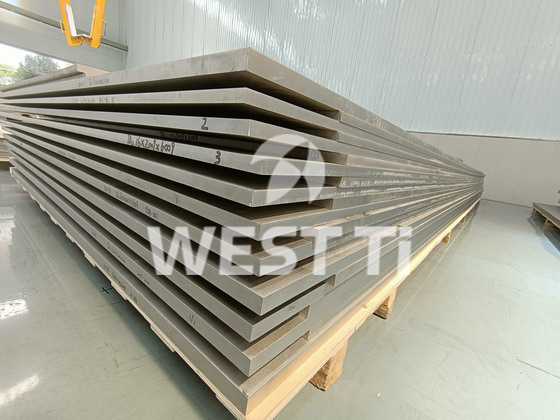 Titanium-lenient-plate